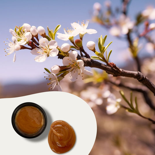 Was Manuka Honig besonders macht