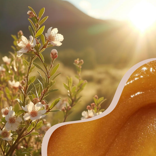 Manuka - ein besonderer Schatz der Natur