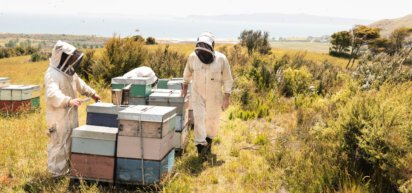 manuara Beekeeper New Zealand